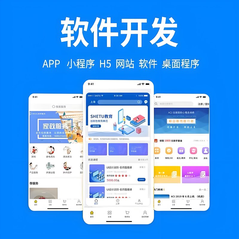 上海软件开发:城市创新引擎的新篇章