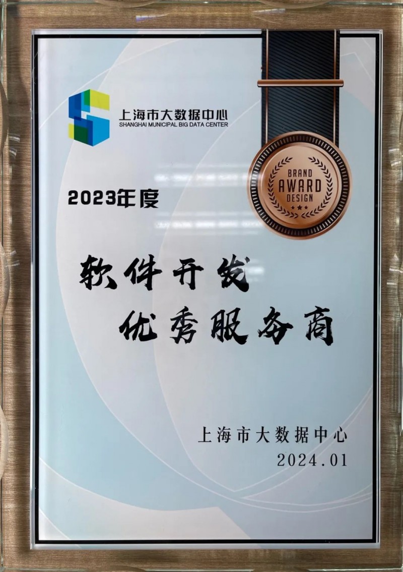上海软件开发行业最新动态